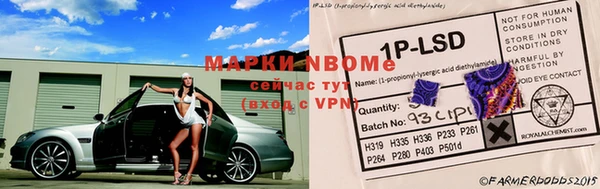 бошки Заволжье