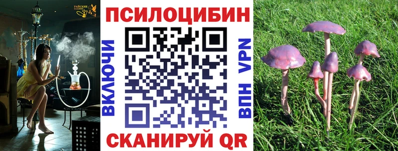 Купить Наволоки Псилоцибиновые грибы MAGIC MUSHROOMS
